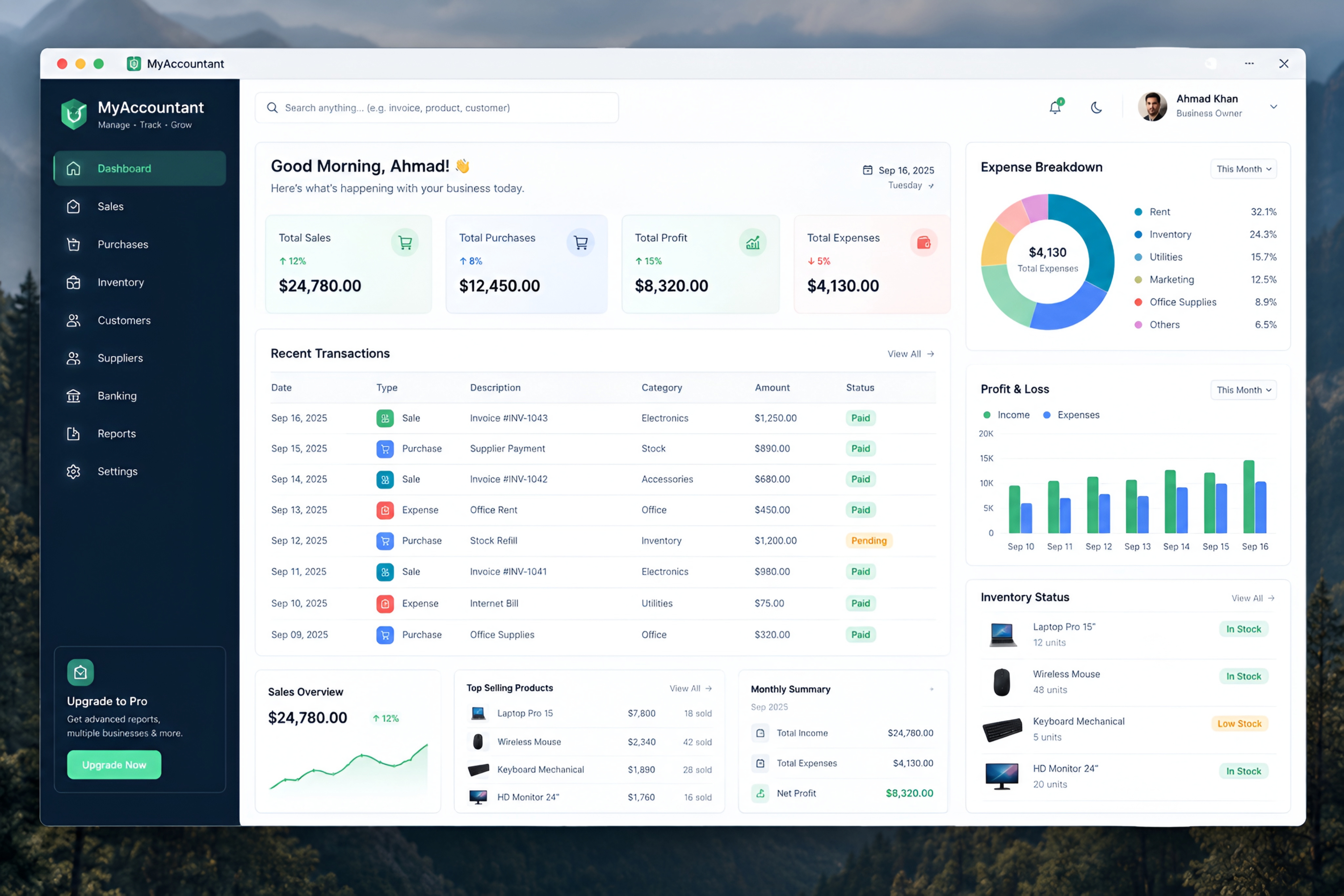 MyAccountant preview